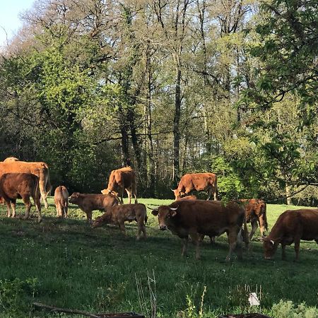 Porcheresse Les Ombrieres Bed & Breakfast エクステリア 写真